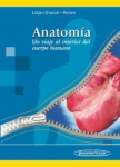 Anatomía vignette